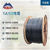 WDZ-YJY 电线电缆 无卤低烟阻燃电缆的特性与应用