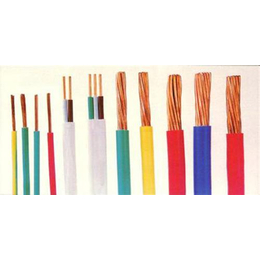 山东阳谷特种电缆与五金电器产业 区域经济的重要支柱